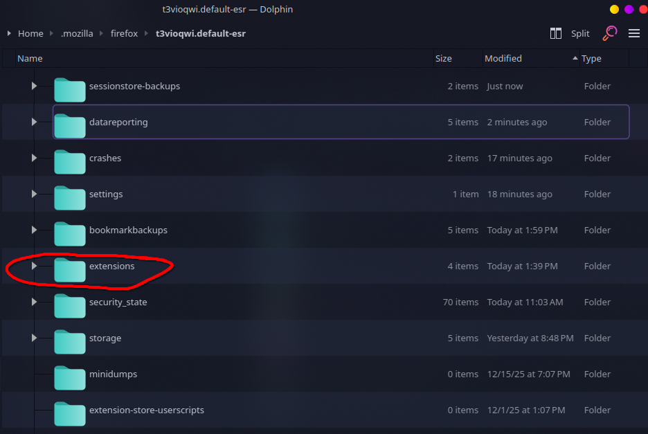 Firefox Profile Extensions